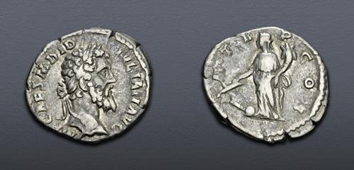 Lot 6229 image