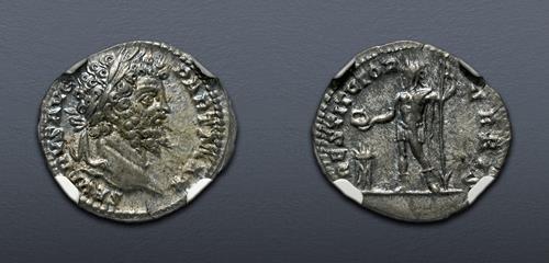 Lot 6236 image