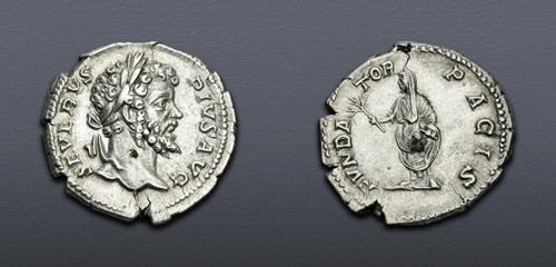 Lot 6238 image