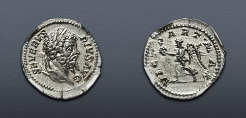 Lot 6239 image