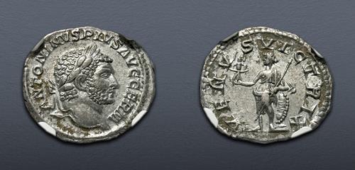 Lot 6250 image