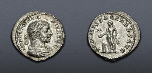 Lot 6254 image