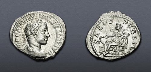 Lot 6260 image