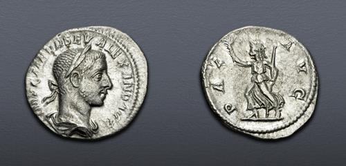 Lot 6261 image