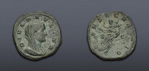 Lot 6273 image