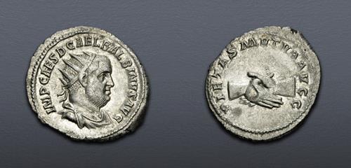 Lot 6276 image