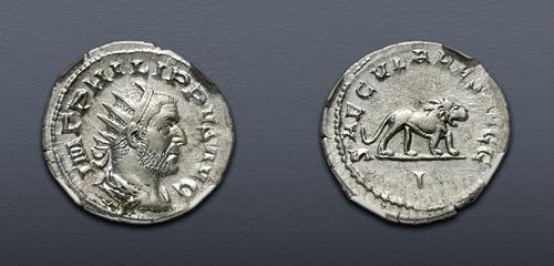 Lot 6282 image