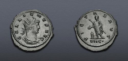 Lot 6293 image