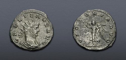Lot 6294 image