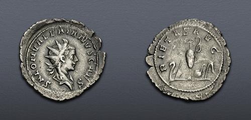 Lot 6297 image