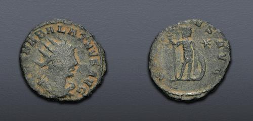 Lot 6304 image