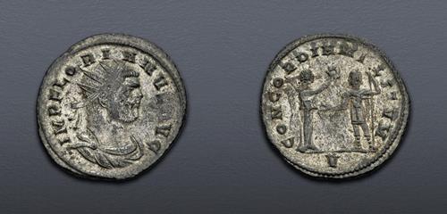 Lot 6305 image