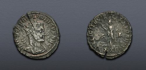 Lot 6307 image