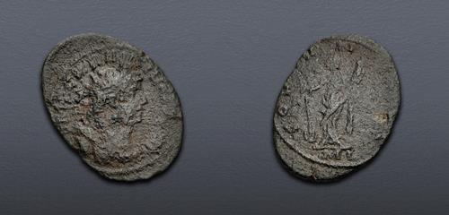 Lot 6310 image