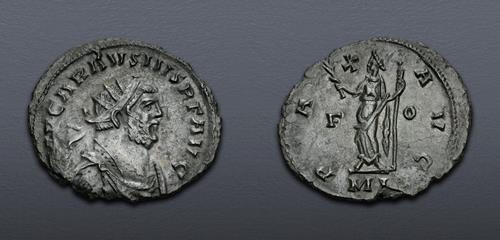 Lot 6312 image
