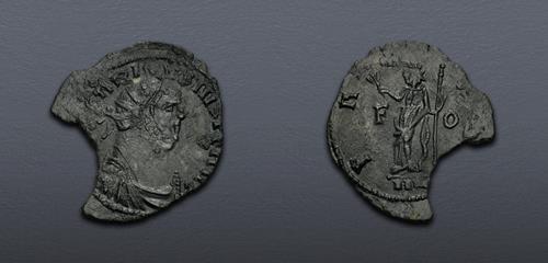 Lot 6313 image