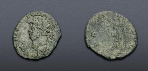 Lot 6319 image