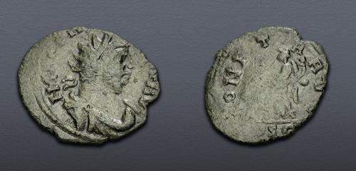 Lot 6321 image