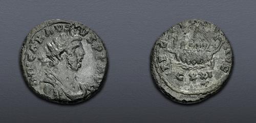 Lot 6324 image