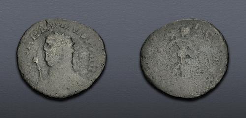 Lot 6331 image