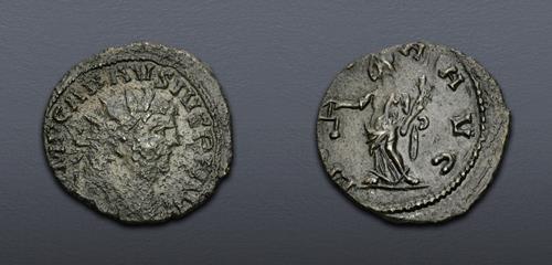 Lot 6334 image