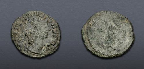 Lot 6336 image