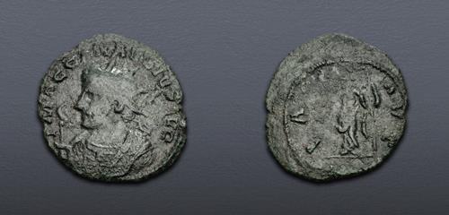 Lot 6337 image