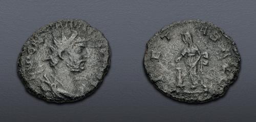 Lot 6339 image