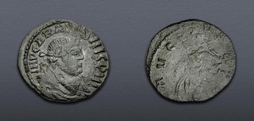 Lot 6341 image