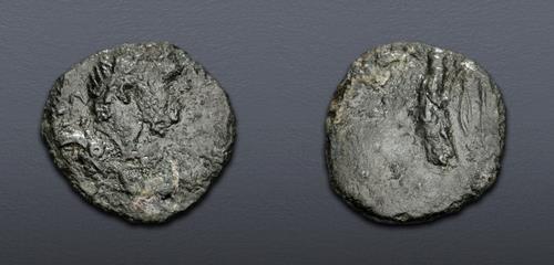 Lot 6345 image