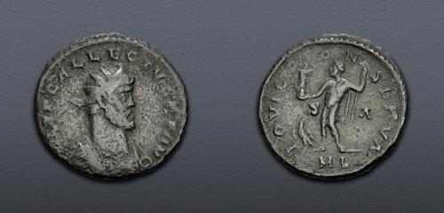 Lot 6346 image