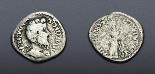 Lot 6447 image