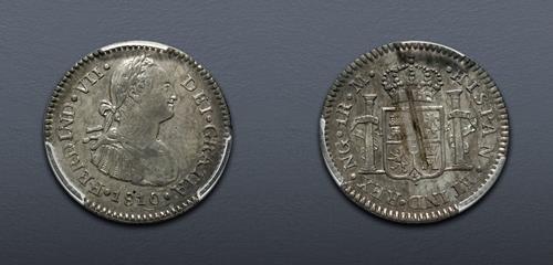 Lot 6556 image