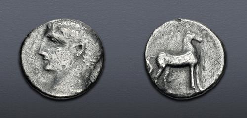 Lot 8 image