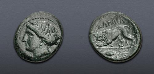 Lot 45 image