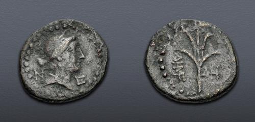 Lot 219 image