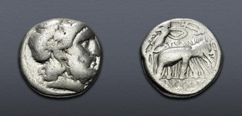 Lot 259 image