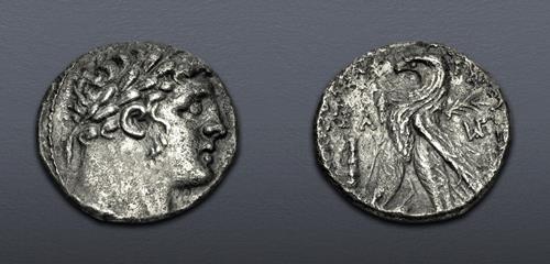Lot 310 image