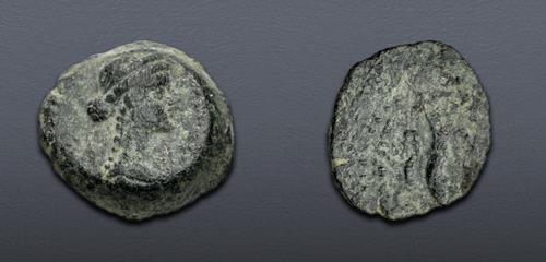 Lot 350 image