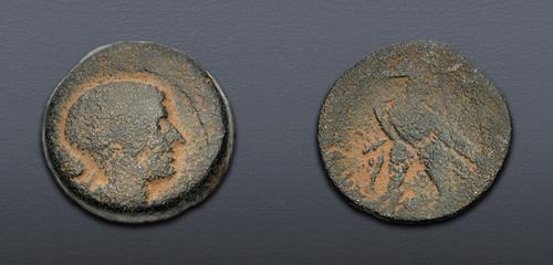 Lot 353 image