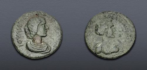 Lot 505 image