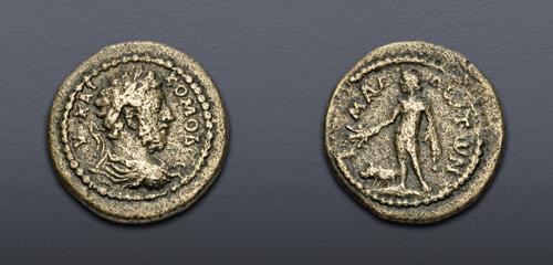 Lot 513 image