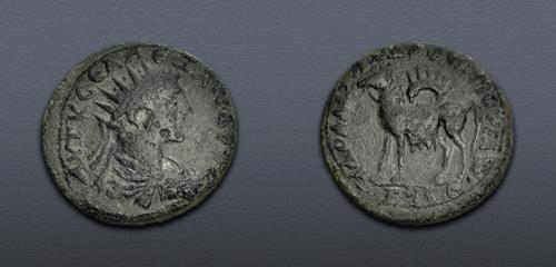 Lot 516 image
