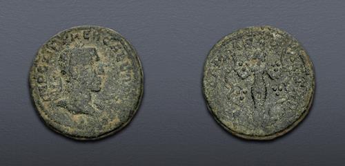 Lot 555 image