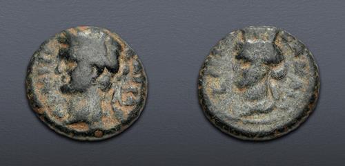 Lot 559 image