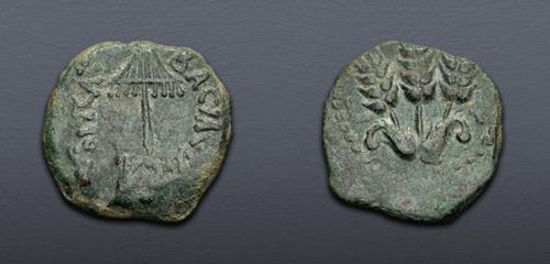 Lot 577 image