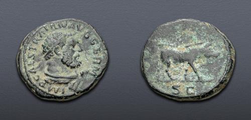 Lot 710 image