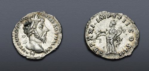 Lot 764 image