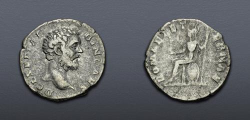 Lot 783 image