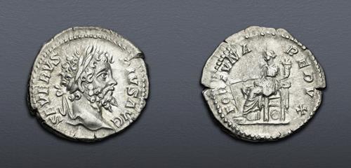 Lot 785 image